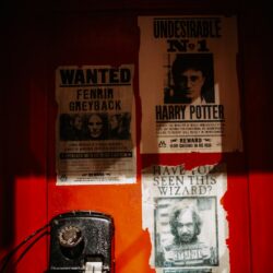 Wanted posters for harry potter and fenrir greyback