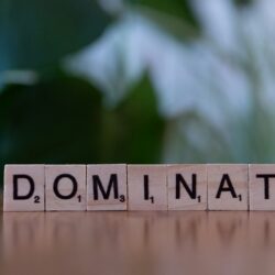 A close up of a scrabble type block with the word dominat