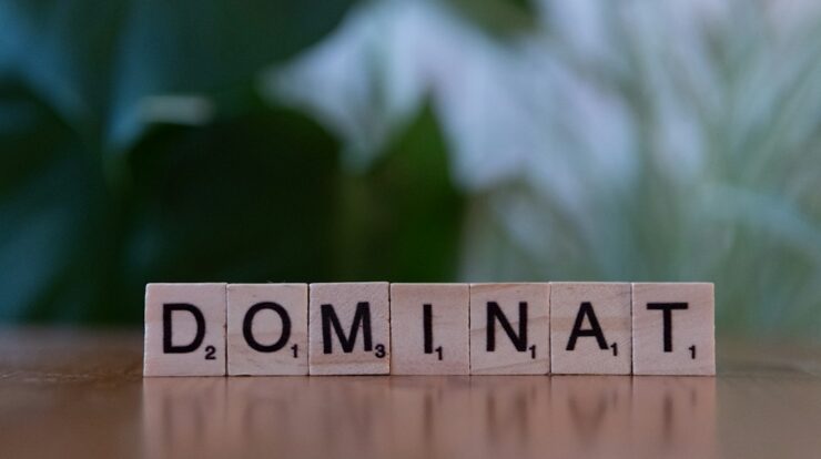 A close up of a scrabble type block with the word dominat