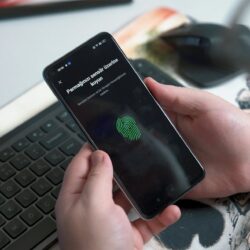 a person holding a phone