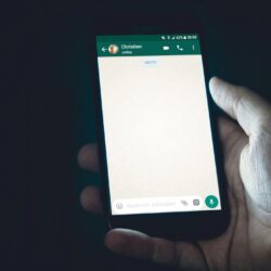 person holding smartphone