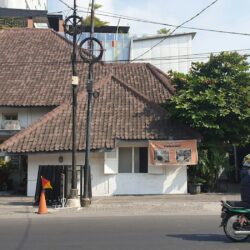 green tree beside white and brown concrete house